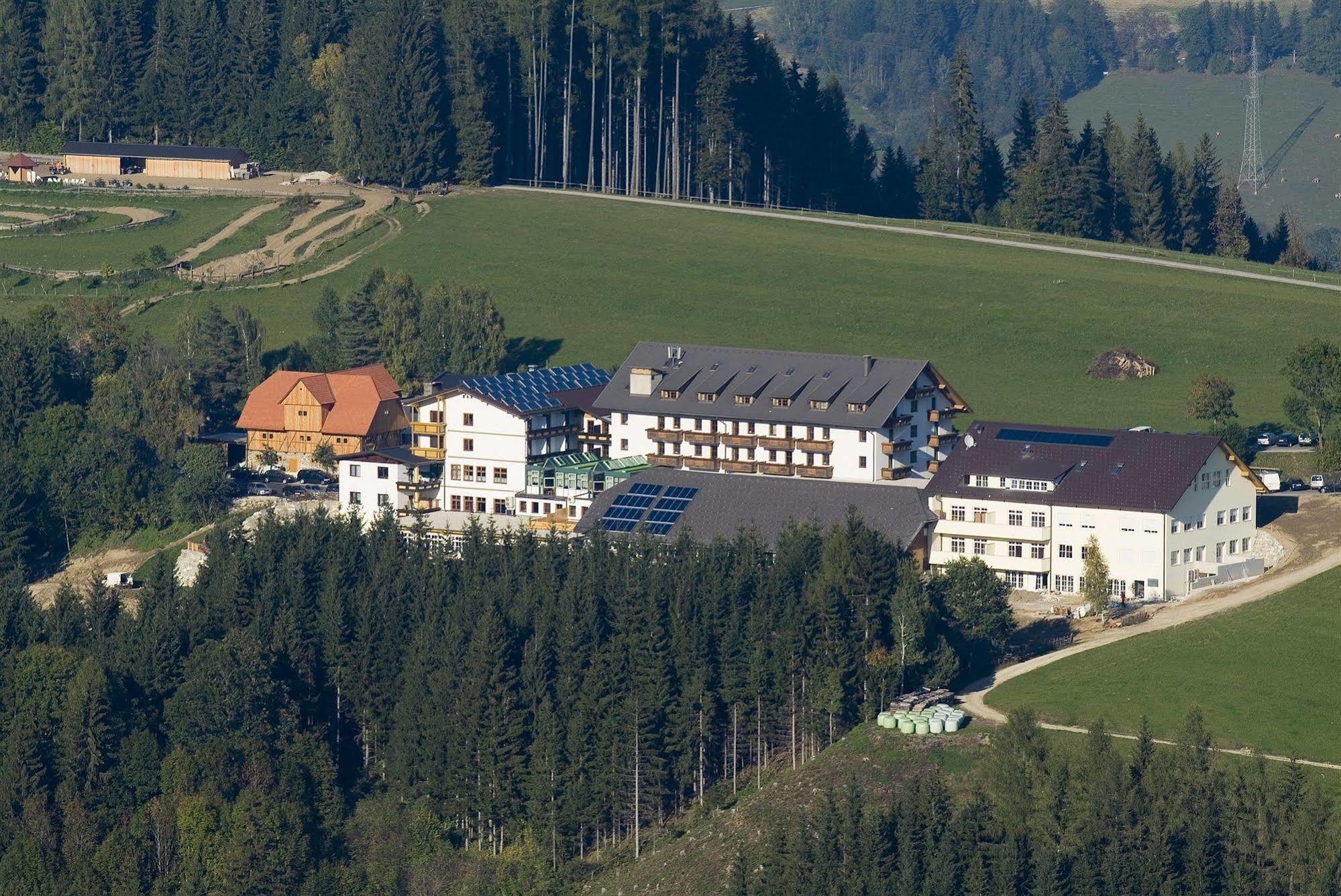 Hotel Moselebauer Bad Sankt Leonhard im Lavanttal Bagian luar foto